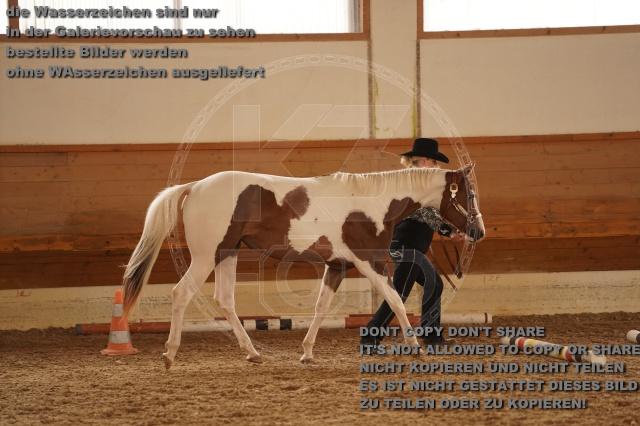 s_A_901251.JPG